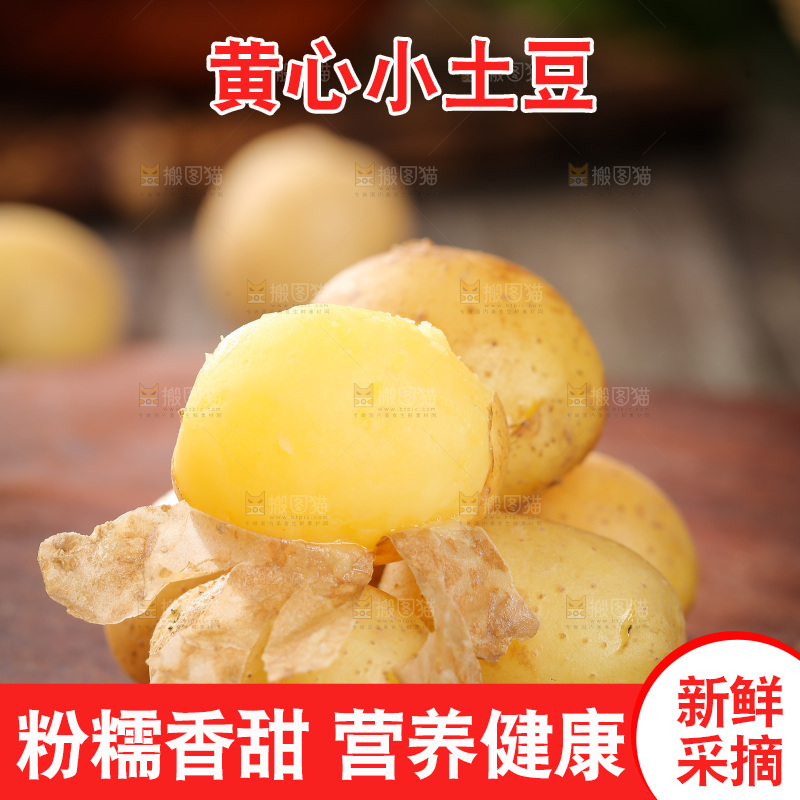 木板上的小土豆