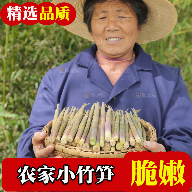 农民手里端着一篮小春笋