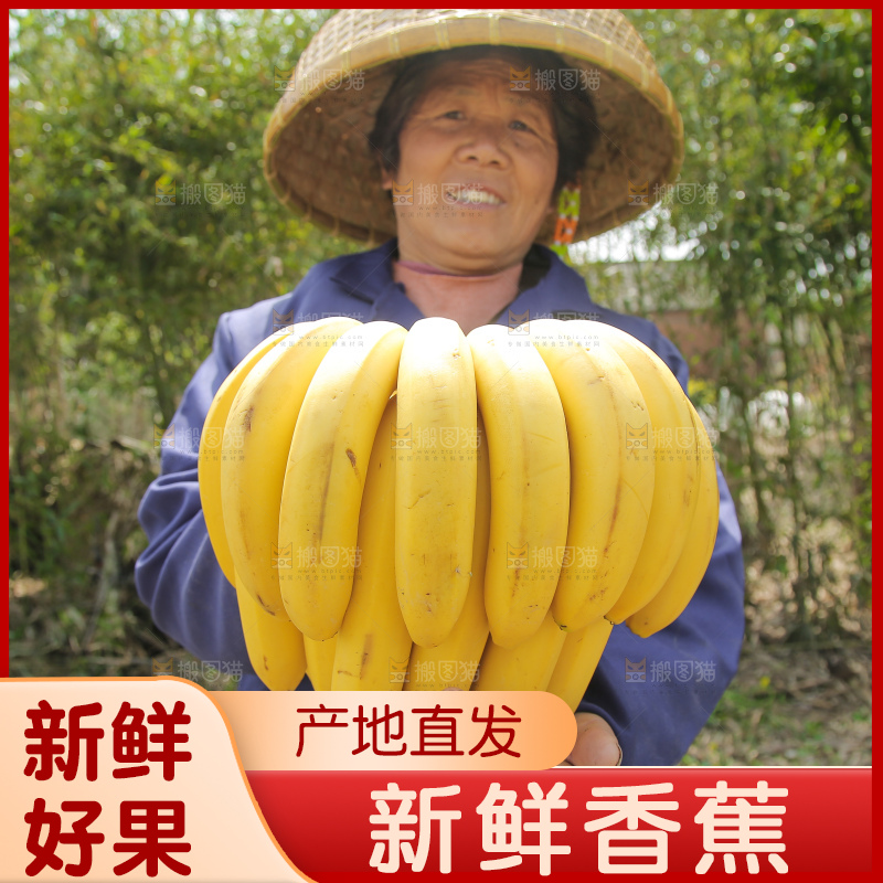 手里拿着一串黄皮香蕉