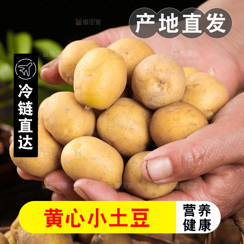手里捧着恩施小土豆
