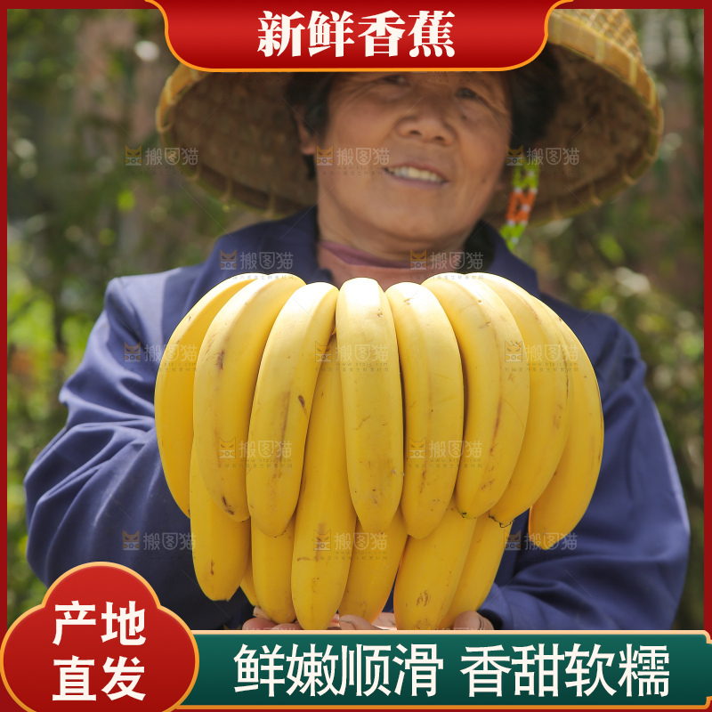 手里拿着一串黄皮香蕉