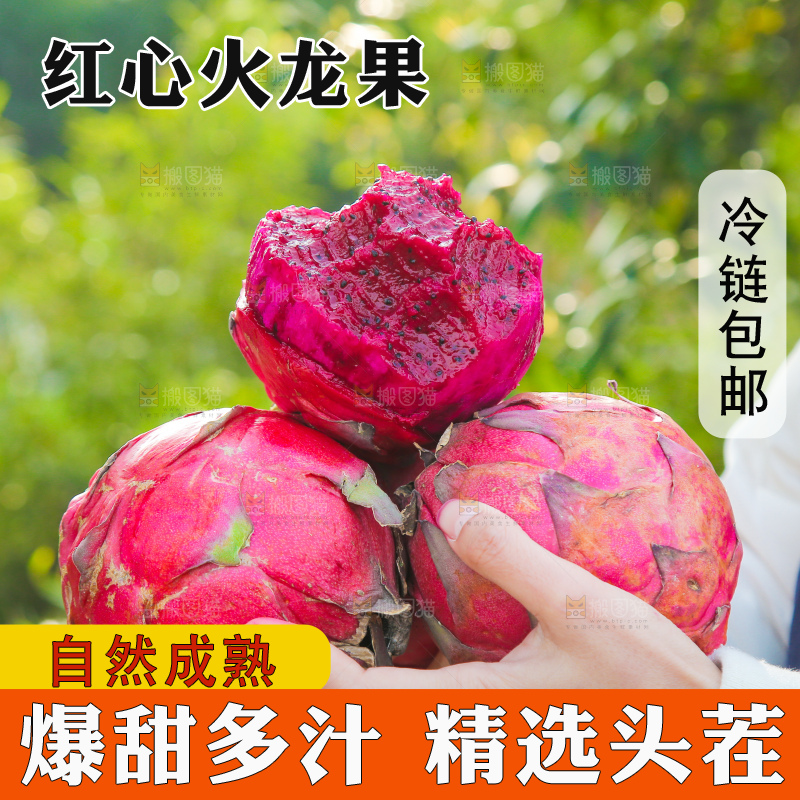手里捧着金都一号红心火龙果