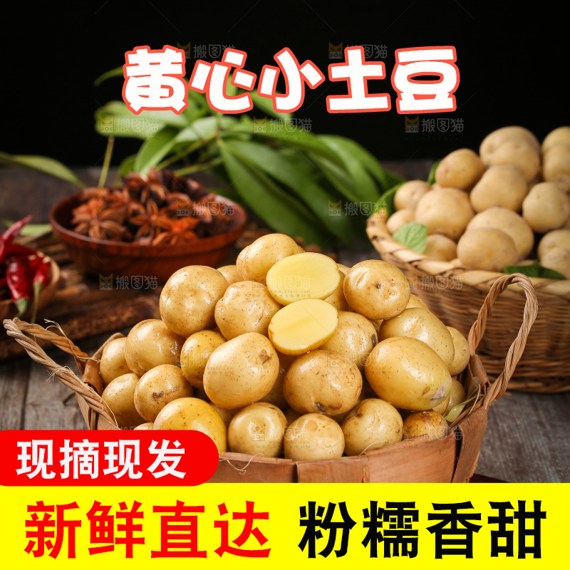一篮新鲜小土豆