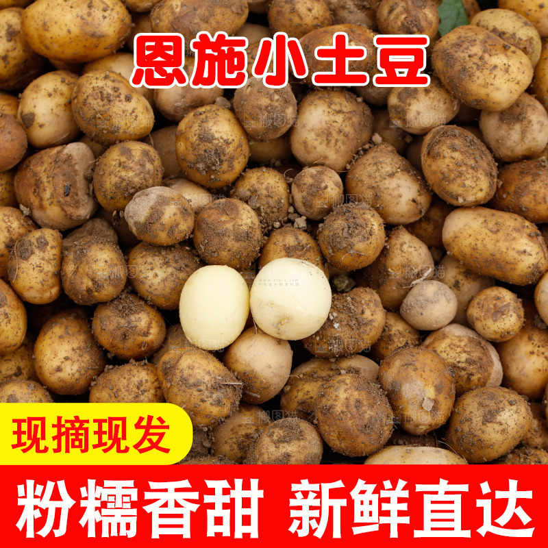 小土豆纹理
