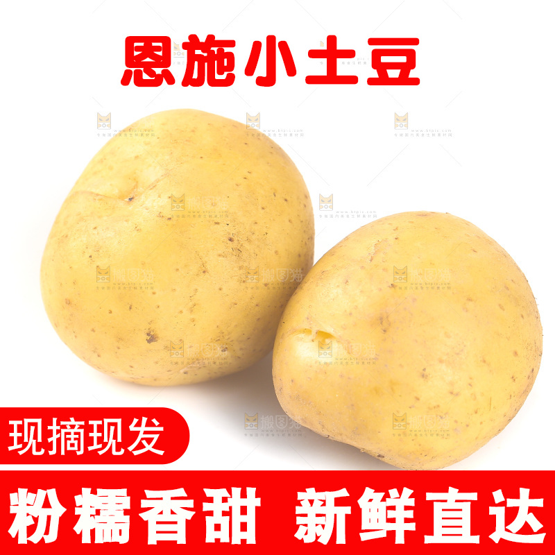 白底上的黄皮小土豆