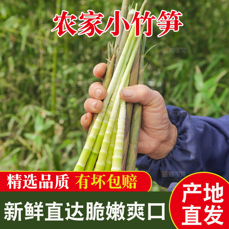 手里拿着小竹笋