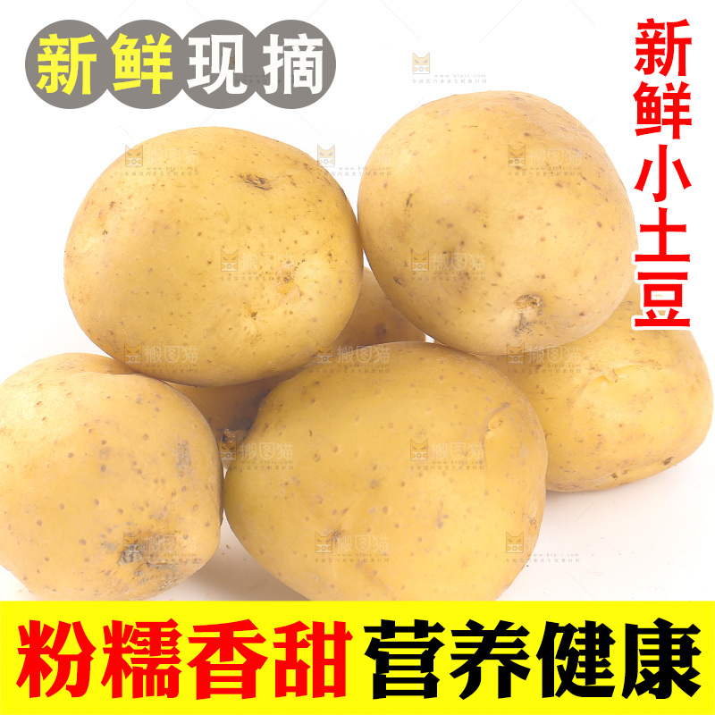 白底上的黄皮小土豆