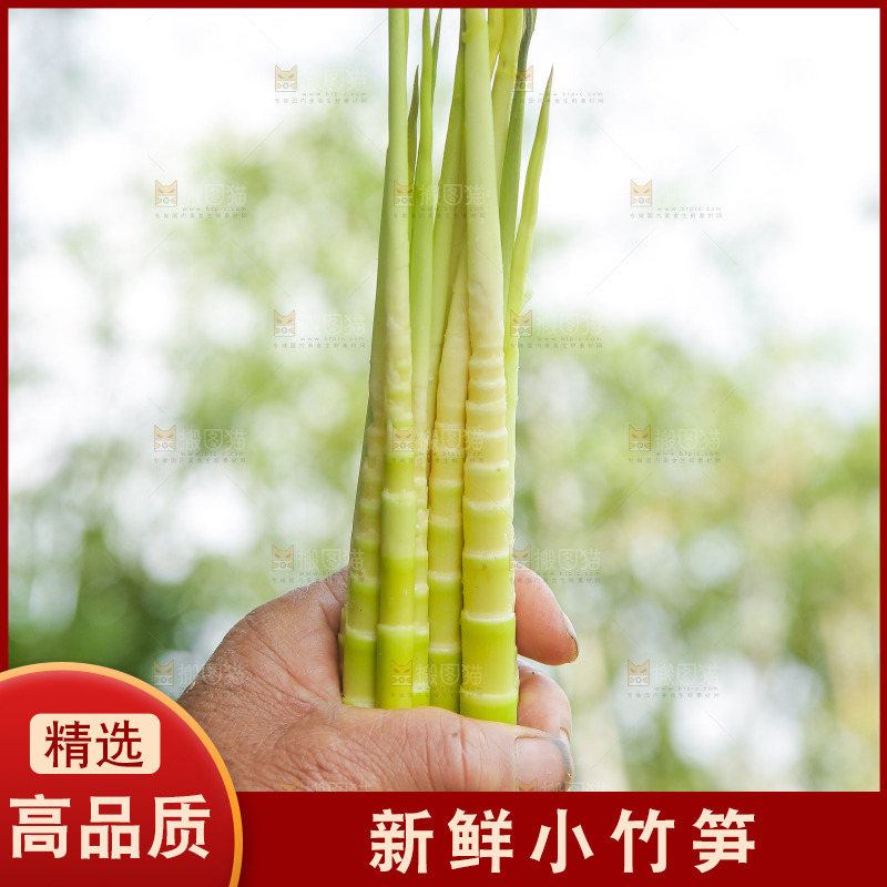 手里拿着小竹笋