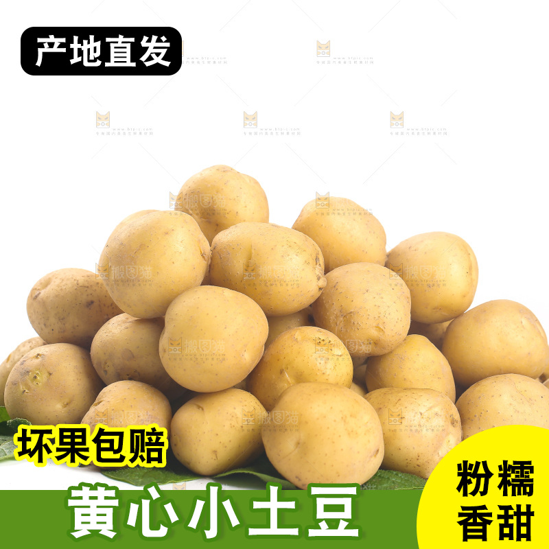 一堆小土豆