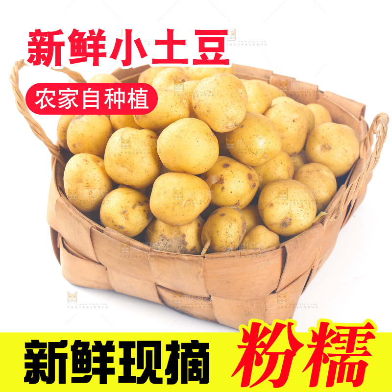 一篮小土豆