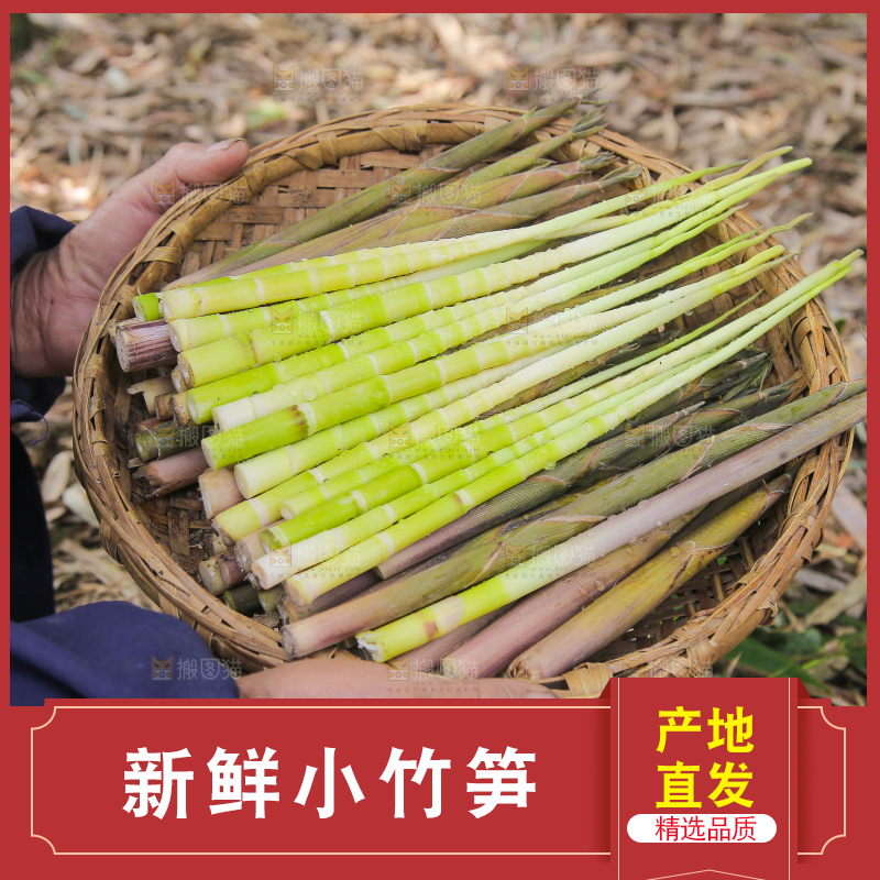 一篮新鲜小竹笋