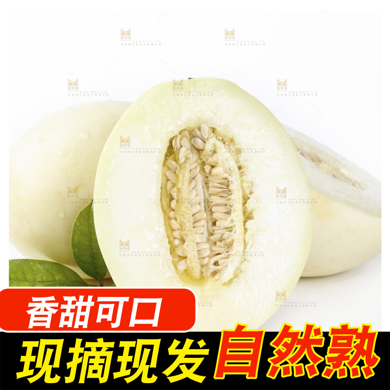 白底上放着阎良甜瓜