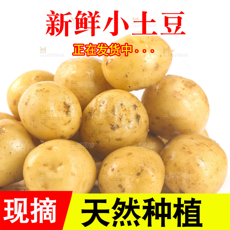 一堆新鲜小土豆
