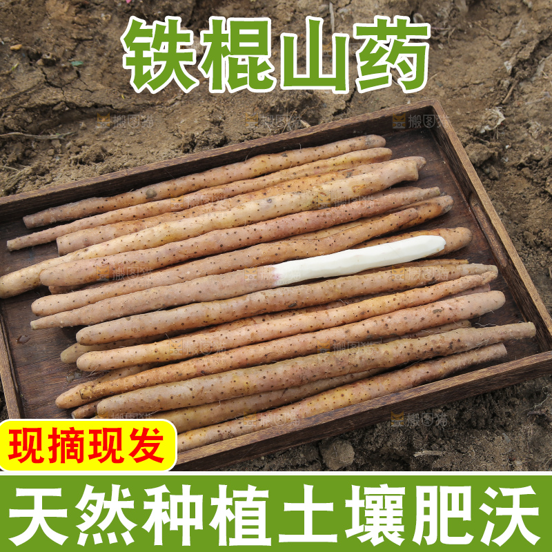 一盘垆土铁棍山药