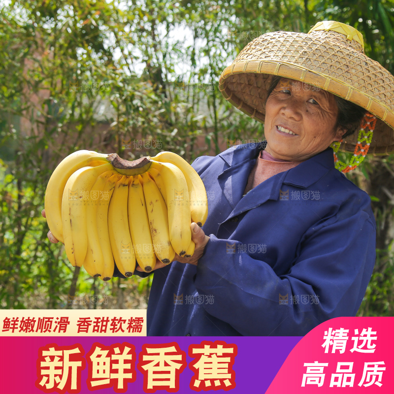 手里拿着一串黄皮香蕉