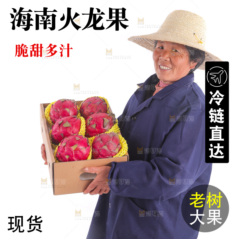 手里端着一箱金都一号火龙果