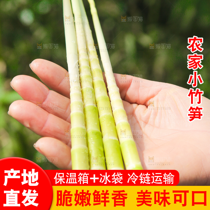 手拿着小竹笋