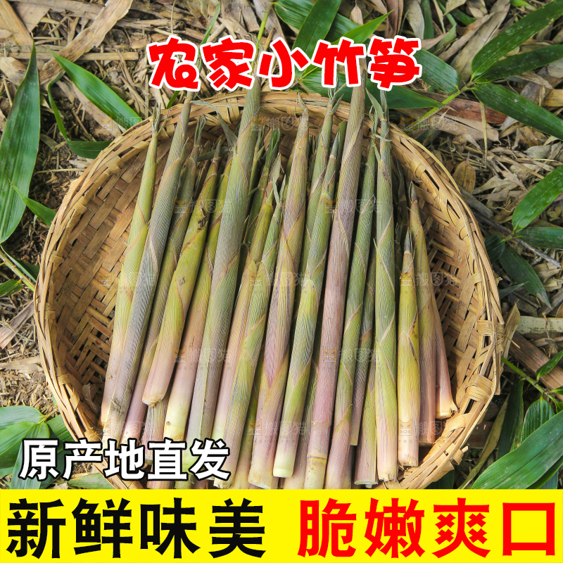 新鲜的小竹笋
