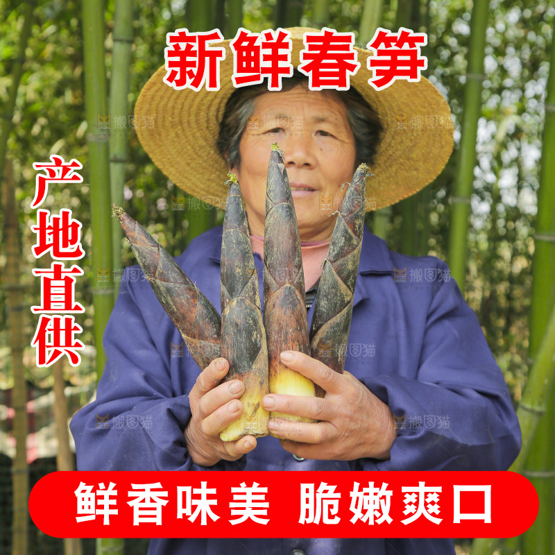 手里拿着临安春雷笋