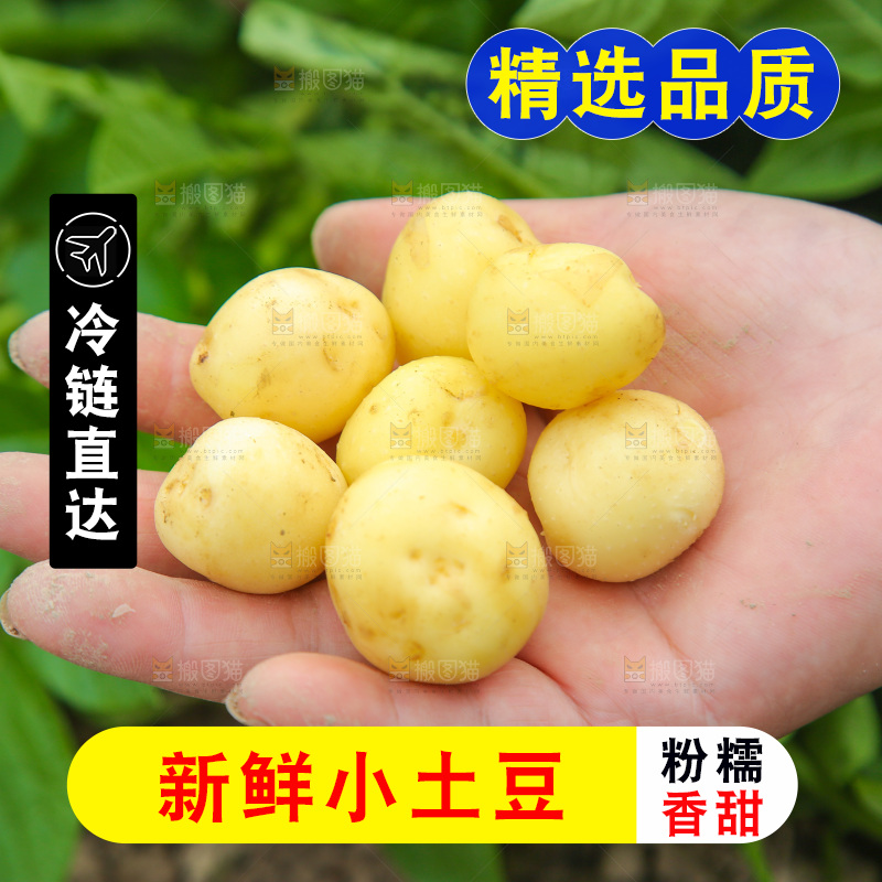 手里拿着小土豆