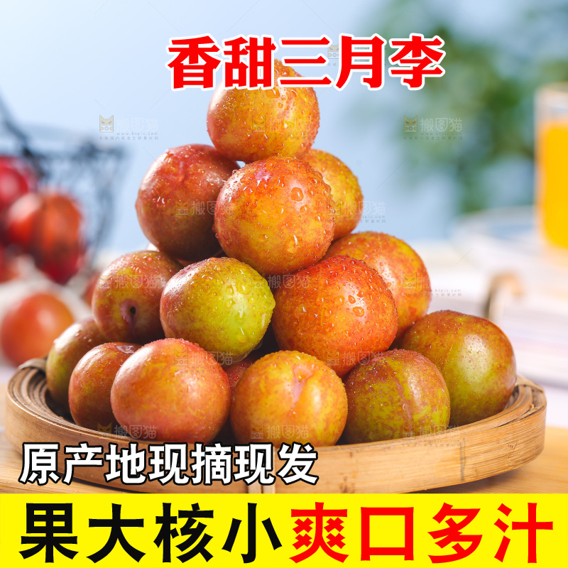 一篮红三月李