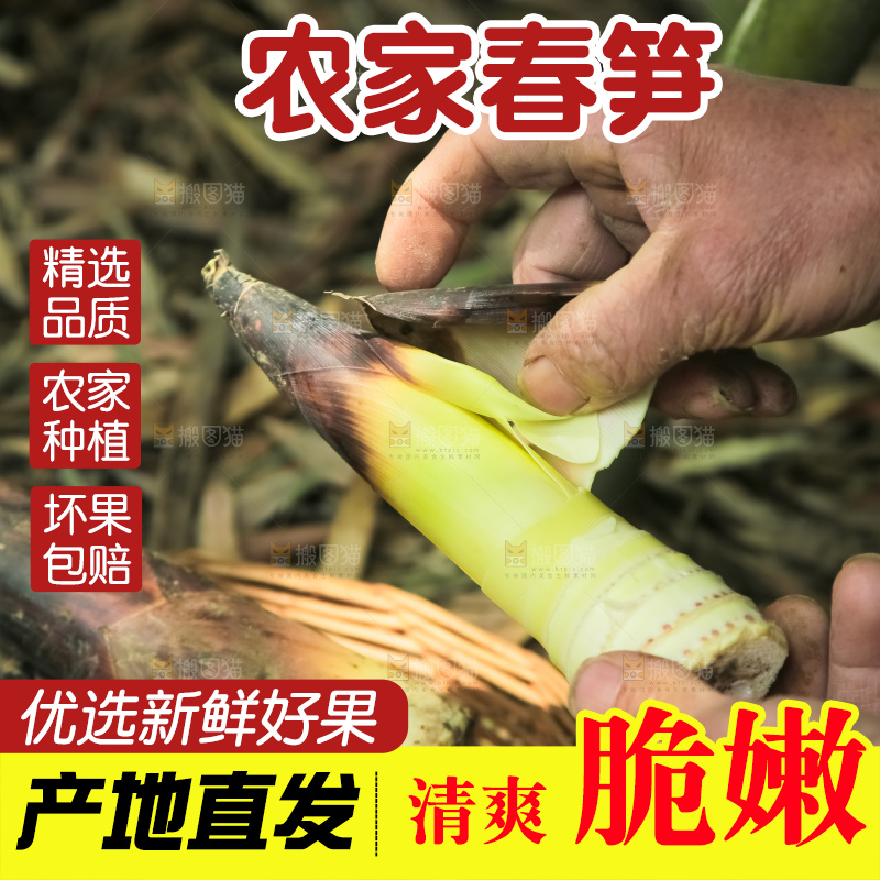 手里剥春笋