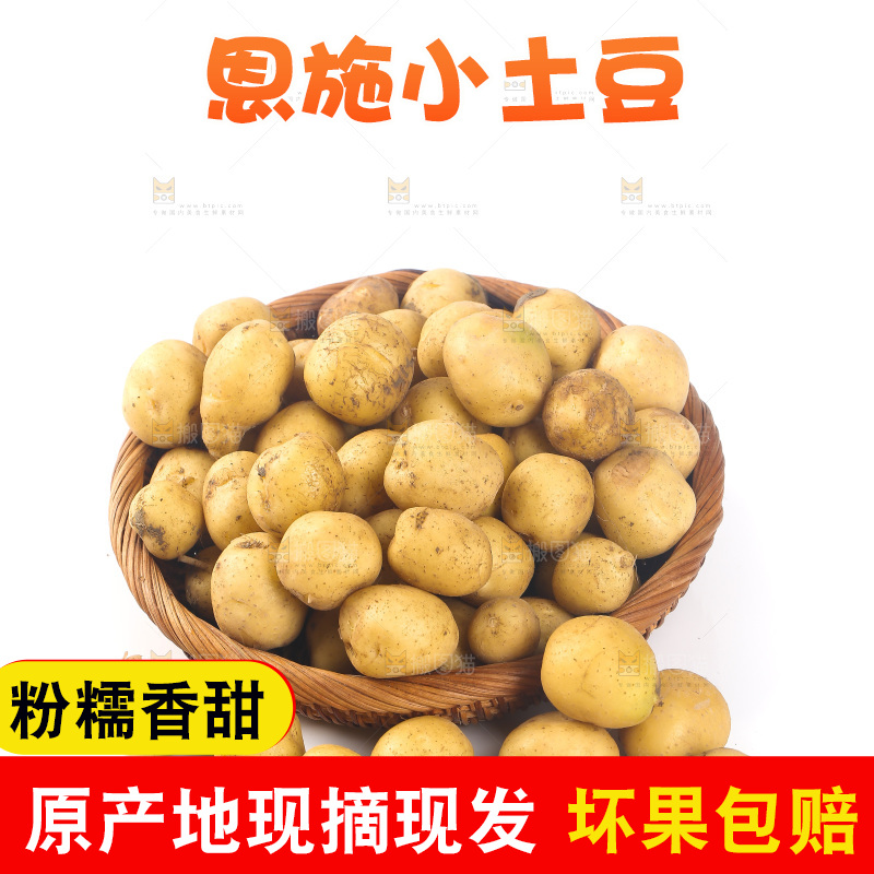 一篮小土豆
