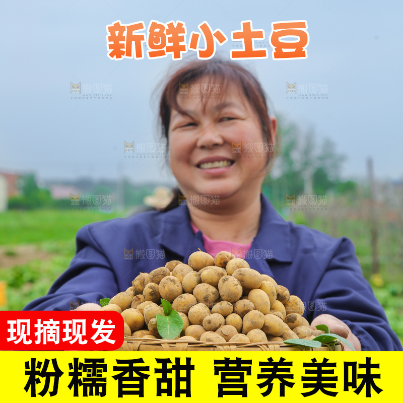 手里端着一篮恩施小土豆
