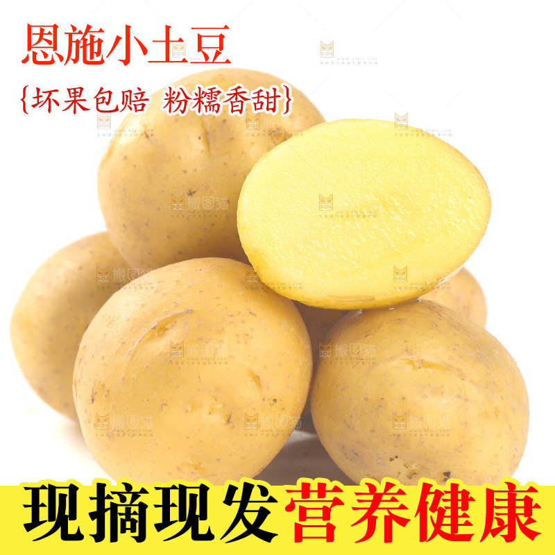 白底上的黄皮小土豆