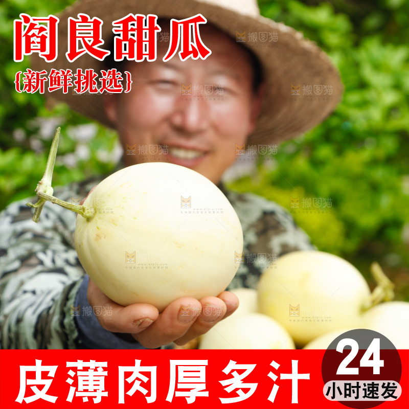 农民手里拿着阎良甜瓜