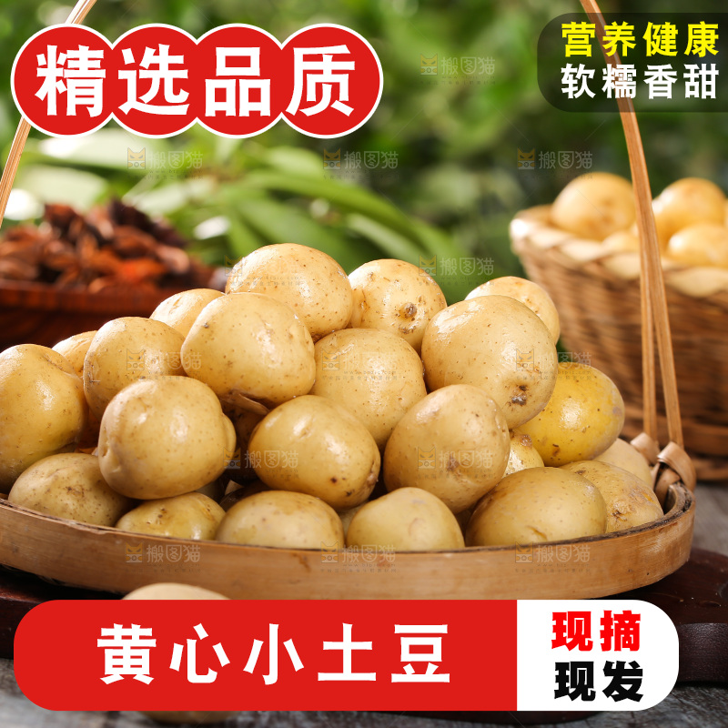 一篮新鲜小土豆