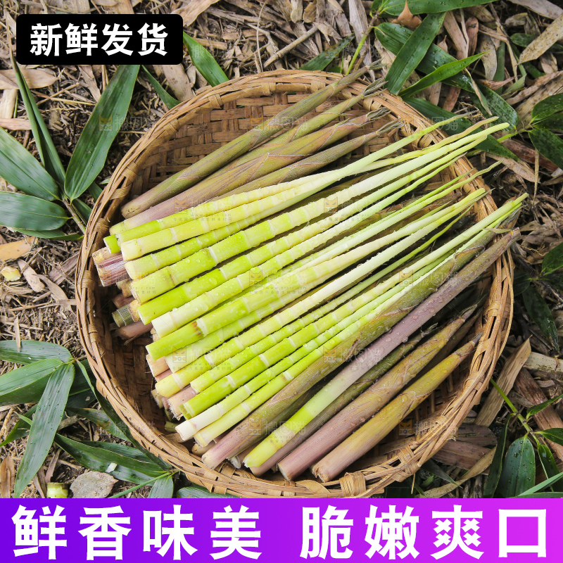 一篮新鲜小竹笋