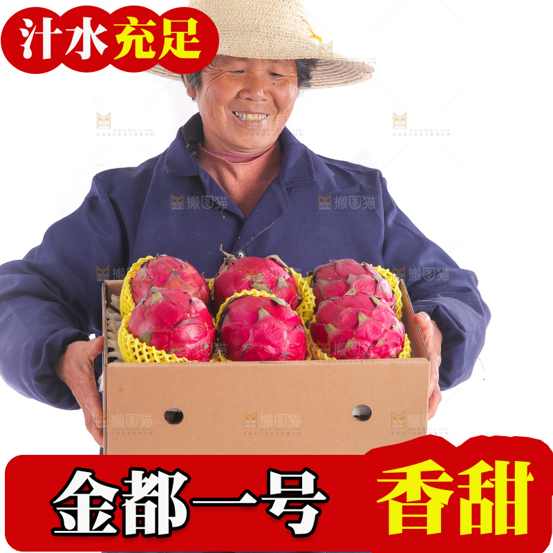 手里端着一箱金都一号火龙果