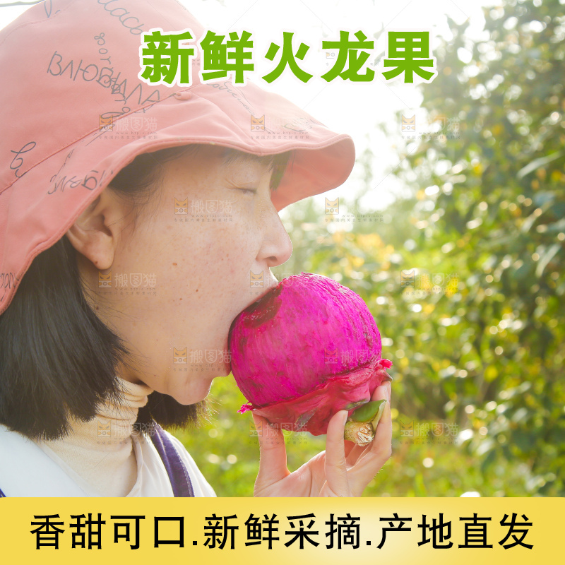 吃着红心火龙果