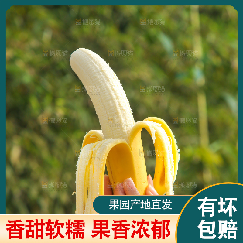 手里拿着香蕉