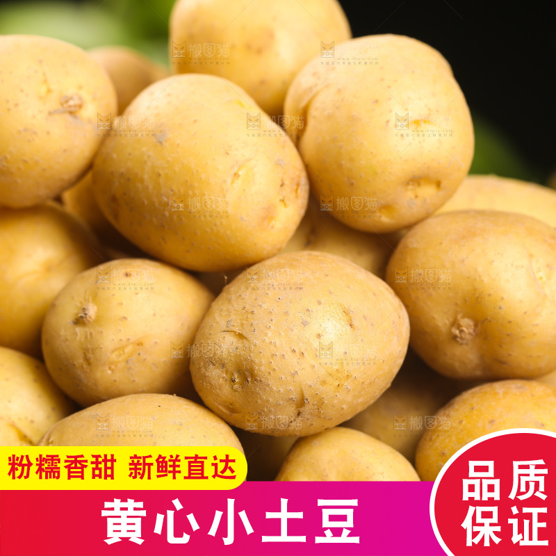 一篮黄皮小土豆