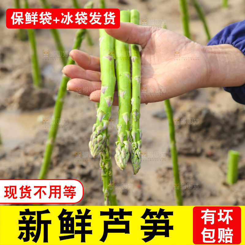 新鲜采摘芦笋