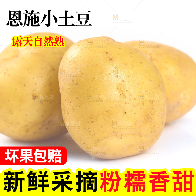 白底上的黄皮小土豆
