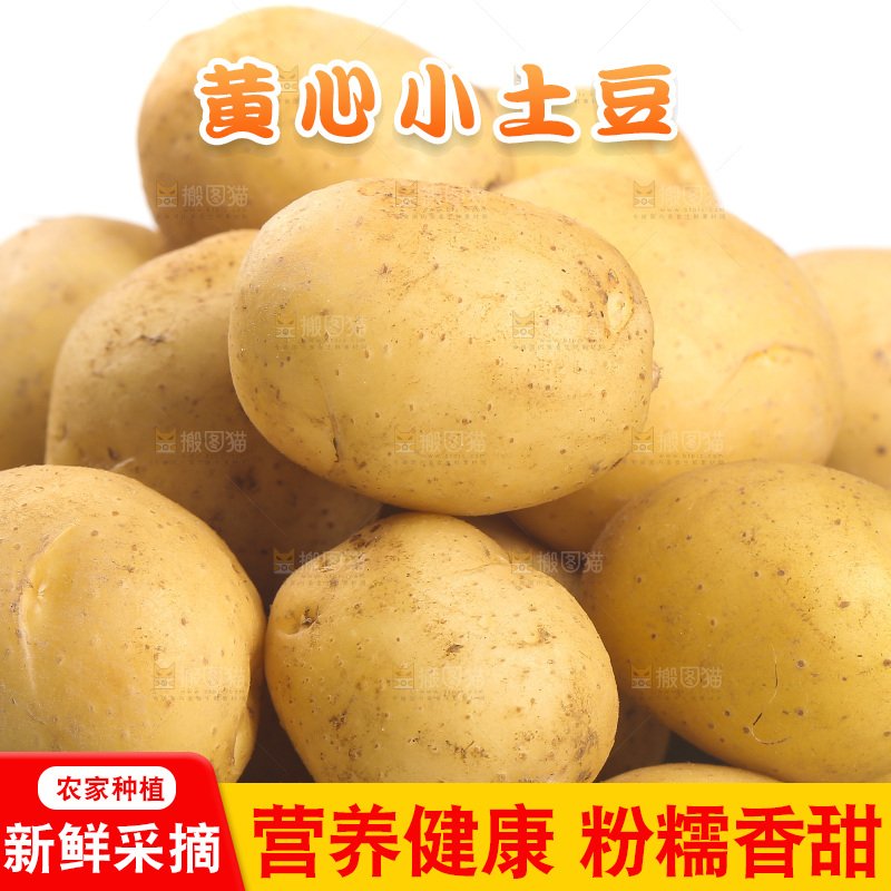 一堆恩施小土豆