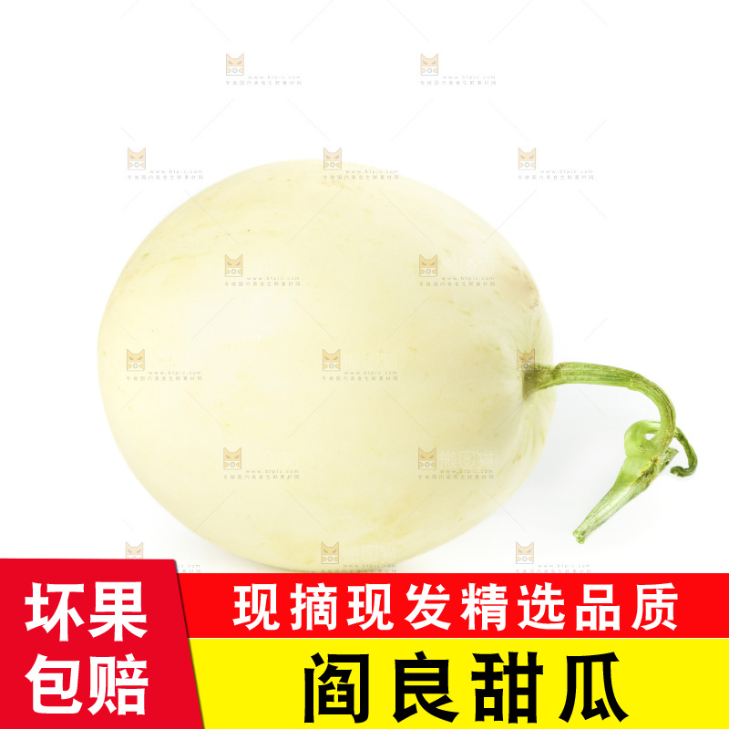 白底上的阎良小甜瓜