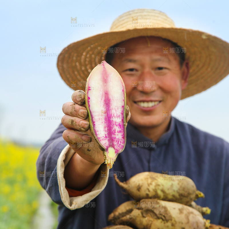 农民手里拿着冰淇林萝卜
