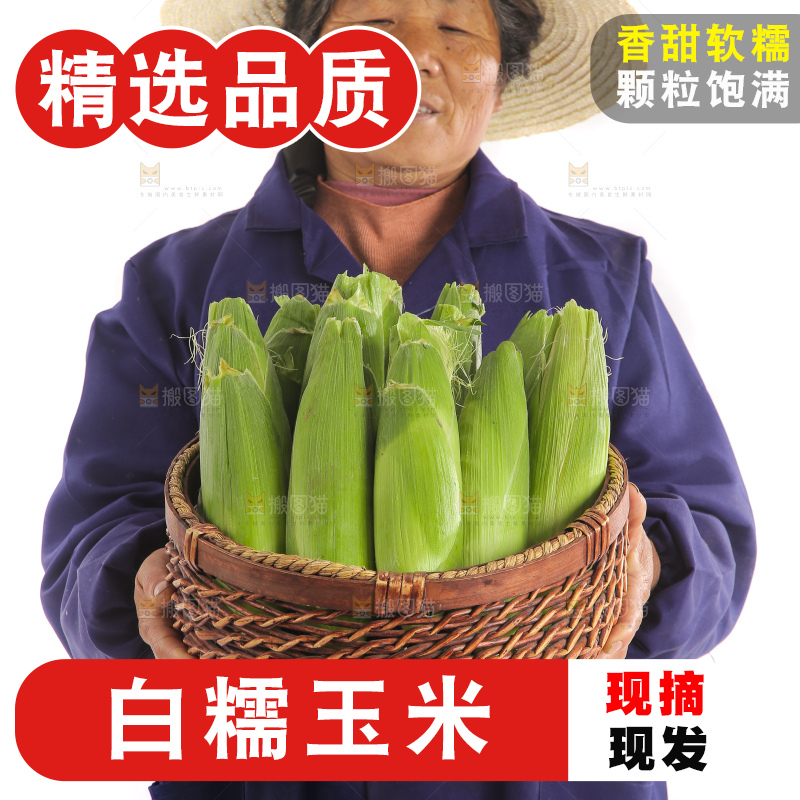 手里端着一篮白糯玉米