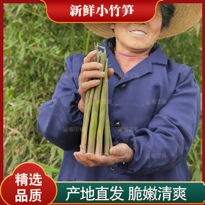 手里拿着带壳小竹笋