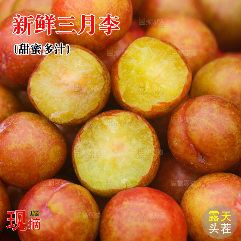 三月李纹理