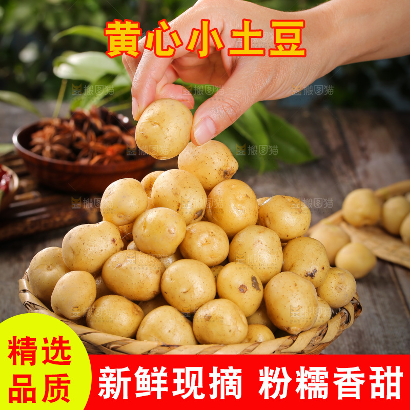 一篮新鲜小土豆