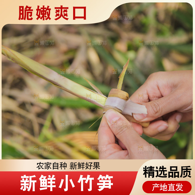 手里拿着小春笋
