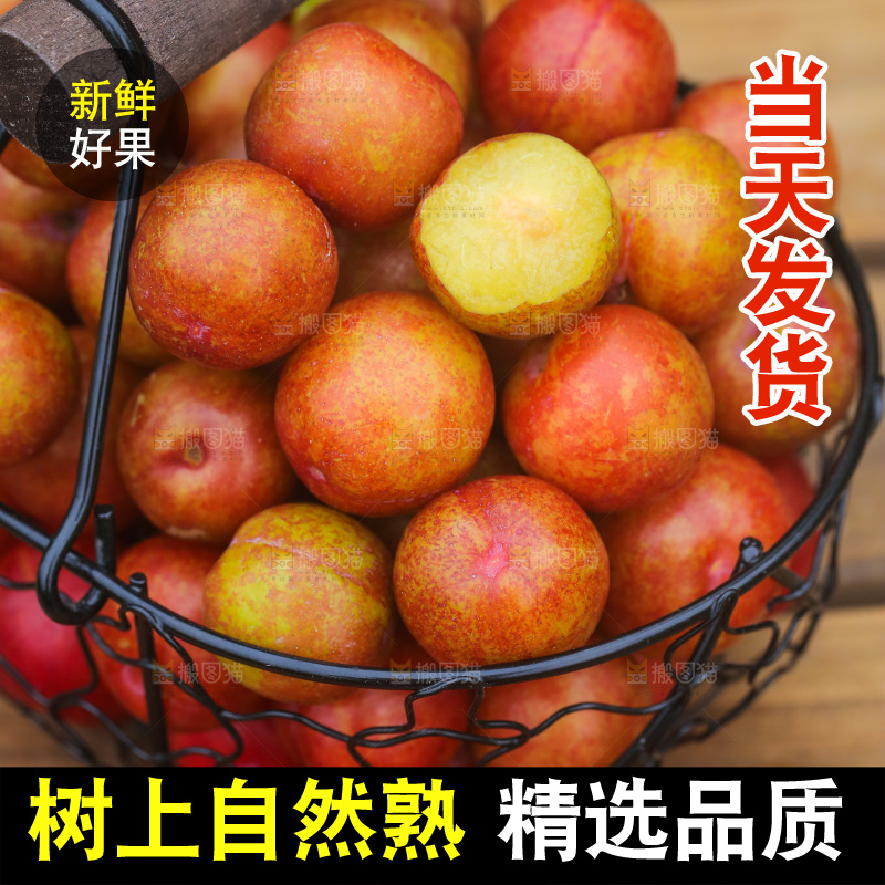 木底上放着一篮新鲜三月李