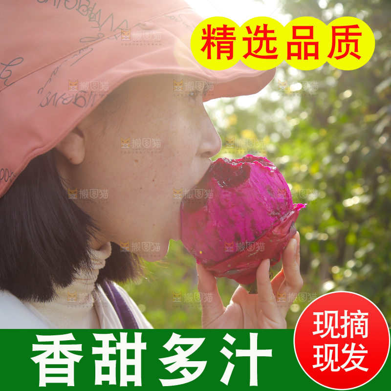吃着红心火龙果