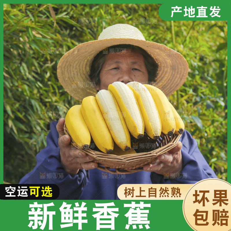 手里端着一篮高山甜香蕉