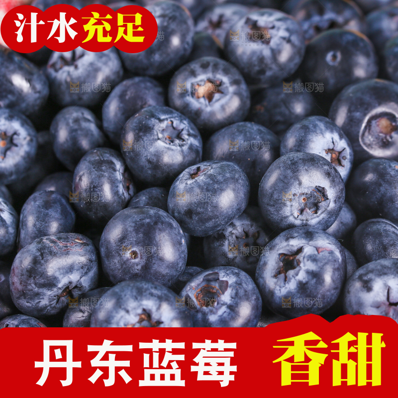 一篓新鲜蓝莓